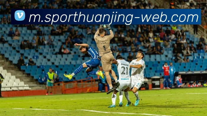 冠竞体育平台生态图